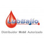 cliente-ibsei-lubricantes-del-bajio